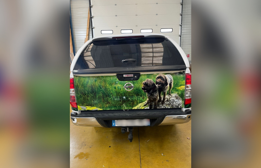 Image d'un covering voiture